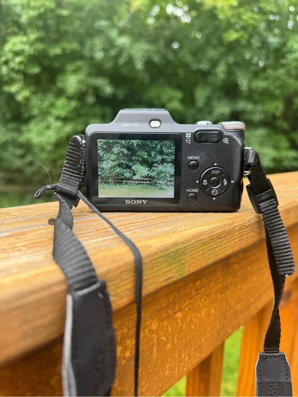 Sony DSC-H3 Digital Camera - Black with Strap